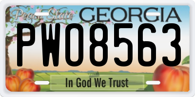 GA license plate PWO8563