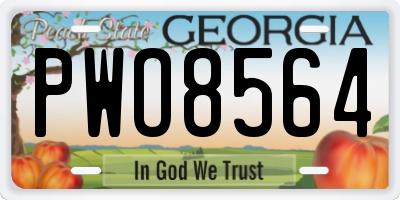 GA license plate PWO8564
