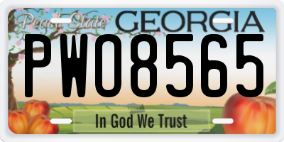 GA license plate PWO8565