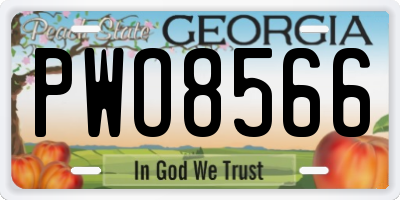 GA license plate PWO8566