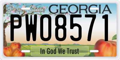 GA license plate PWO8571
