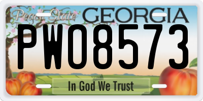 GA license plate PWO8573