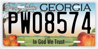 GA license plate PWO8574