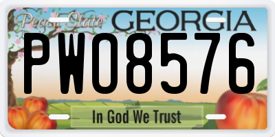 GA license plate PWO8576