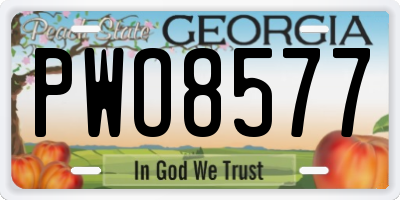 GA license plate PWO8577