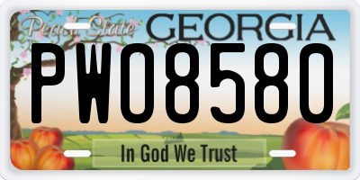 GA license plate PWO8580