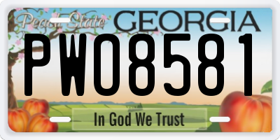 GA license plate PWO8581