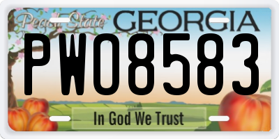 GA license plate PWO8583