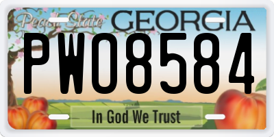 GA license plate PWO8584