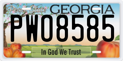 GA license plate PWO8585