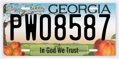 GA license plate PWO8587