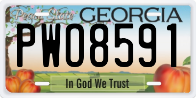 GA license plate PWO8591
