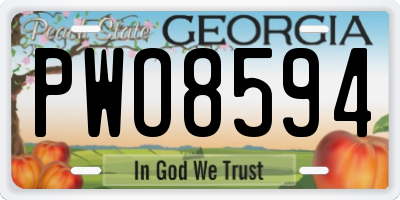 GA license plate PWO8594