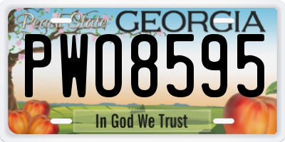 GA license plate PWO8595