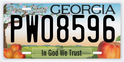 GA license plate PWO8596