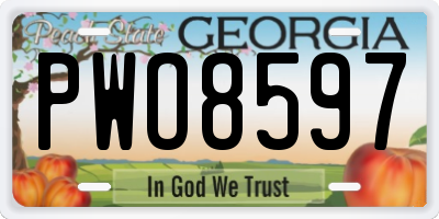GA license plate PWO8597