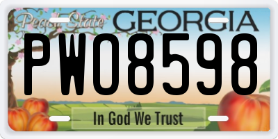 GA license plate PWO8598