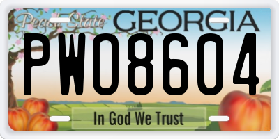 GA license plate PWO8604