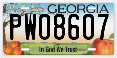 GA license plate PWO8607