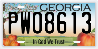 GA license plate PWO8613