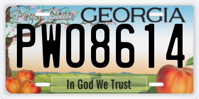 GA license plate PWO8614