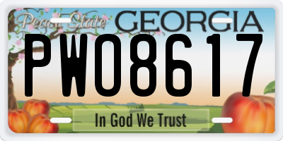 GA license plate PWO8617