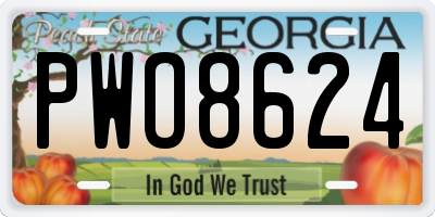 GA license plate PWO8624