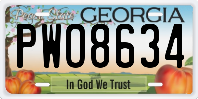 GA license plate PWO8634