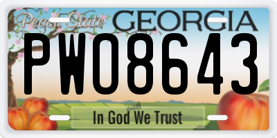 GA license plate PWO8643