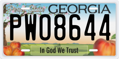 GA license plate PWO8644