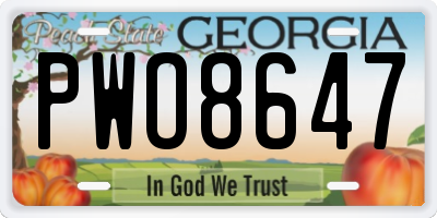GA license plate PWO8647