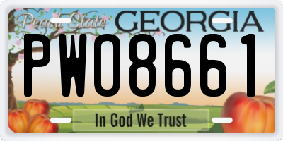 GA license plate PWO8661
