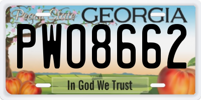 GA license plate PWO8662