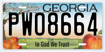 GA license plate PWO8664