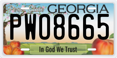 GA license plate PWO8665
