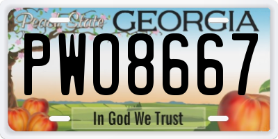 GA license plate PWO8667