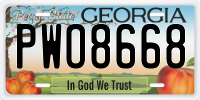 GA license plate PWO8668