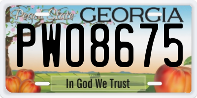 GA license plate PWO8675