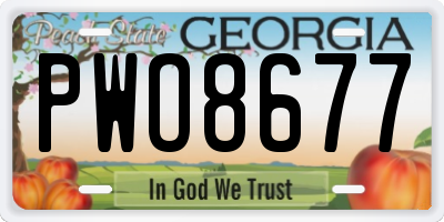 GA license plate PWO8677