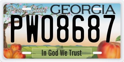 GA license plate PWO8687