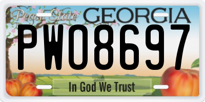 GA license plate PWO8697