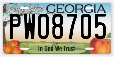 GA license plate PWO8705