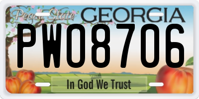 GA license plate PWO8706