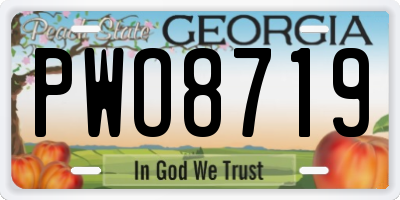 GA license plate PWO8719