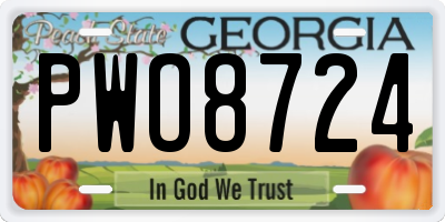 GA license plate PWO8724