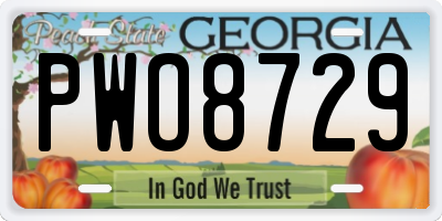 GA license plate PWO8729