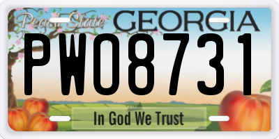 GA license plate PWO8731
