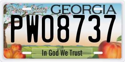GA license plate PWO8737