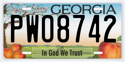 GA license plate PWO8742