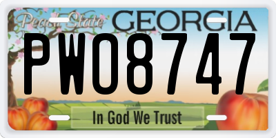 GA license plate PWO8747
